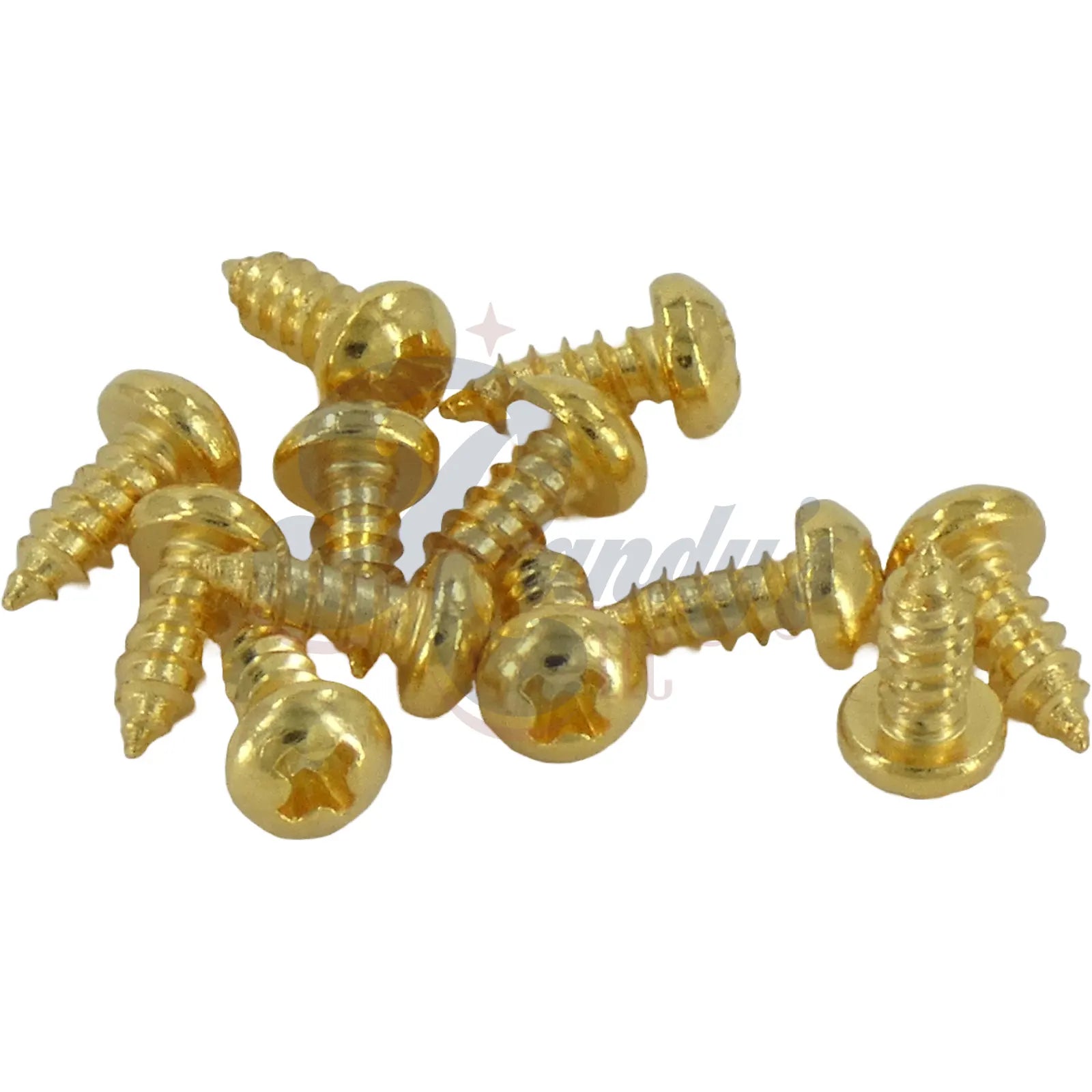 Advanced Plating | Truss Rod Cover Screws (12-Pack) - Fits Gibson® - Randy's LLC