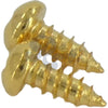 Advanced Plating Inc (API) Truss Rod Screws (2-Pack) - Fits Gibson®