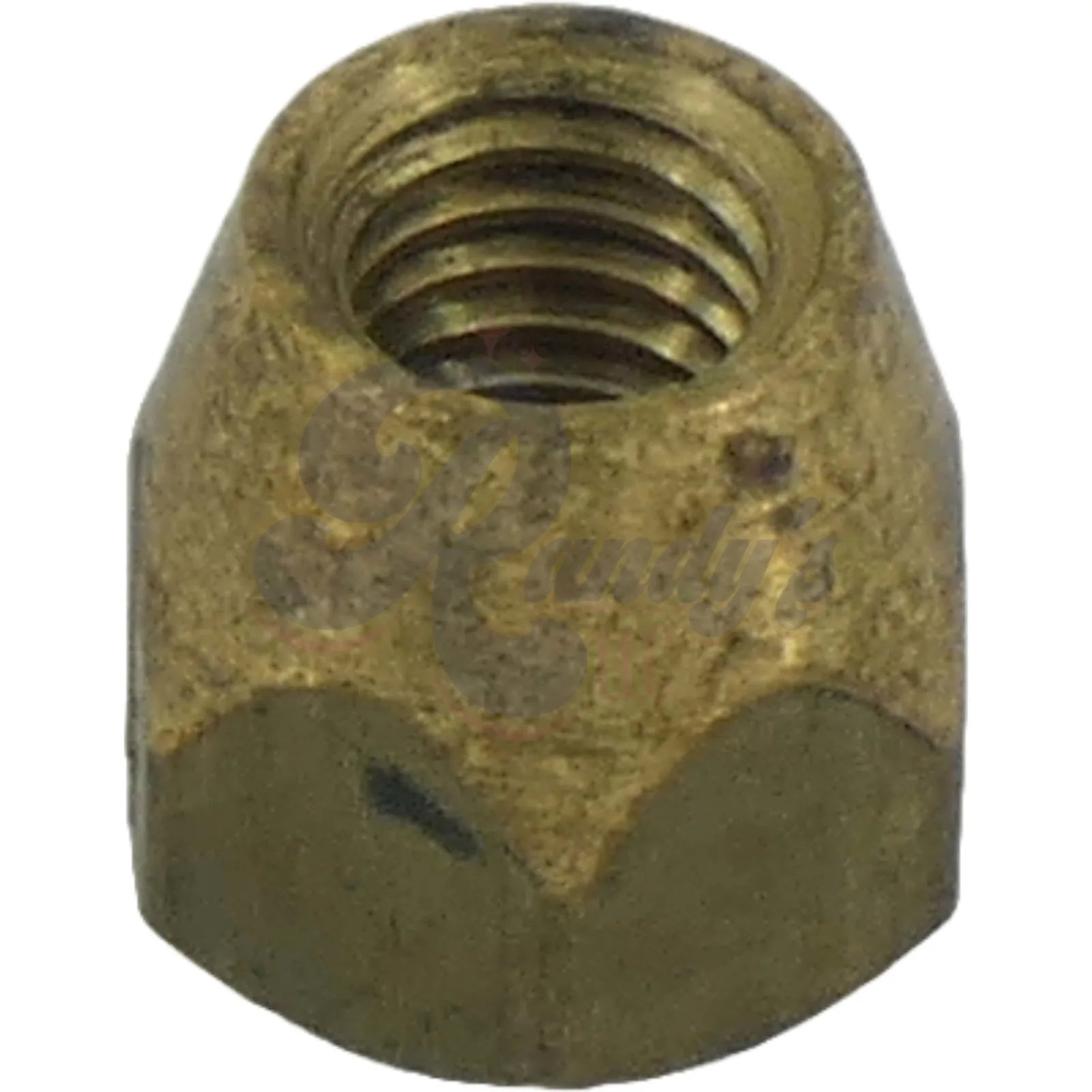 Advanced Plating | Acorn Truss Rod Nut - Fits Gibson® - Randy's LLC