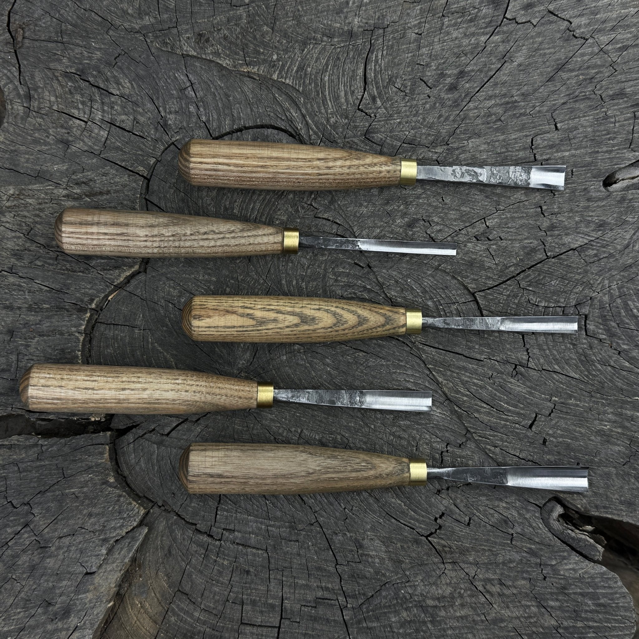 5-Piece Wood Carving Chisel & Gouge Set - Randy's LLC