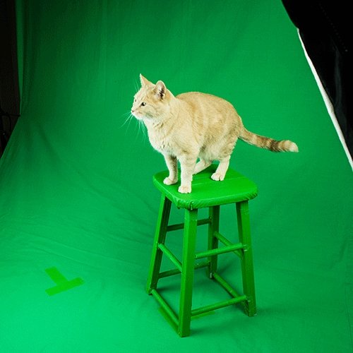 Gaffer Tape — Chroma Green 2" x 30yd - Randy's LLC