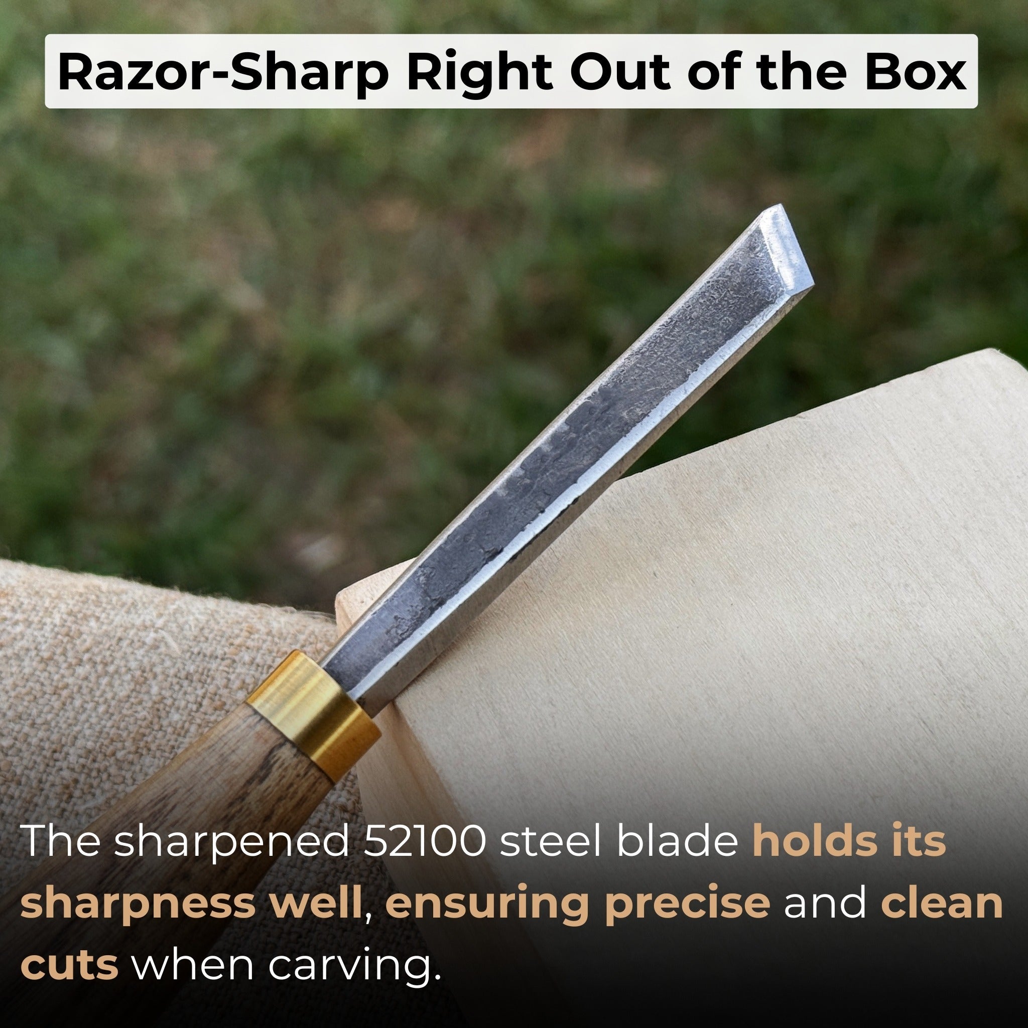 Angled Bevel Carving Chisel – 10 mm (0.39 inches) - Randy's LLC