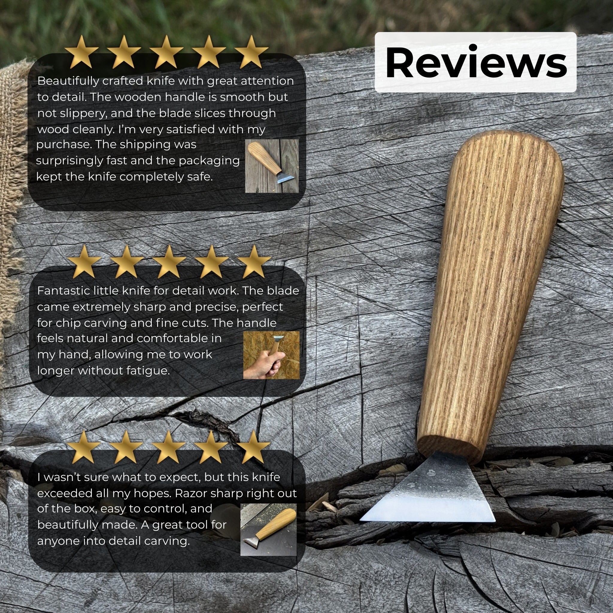 Bevel Edge Carving Knife, 3.5 cm (1.38 inches) - Randy's LLC