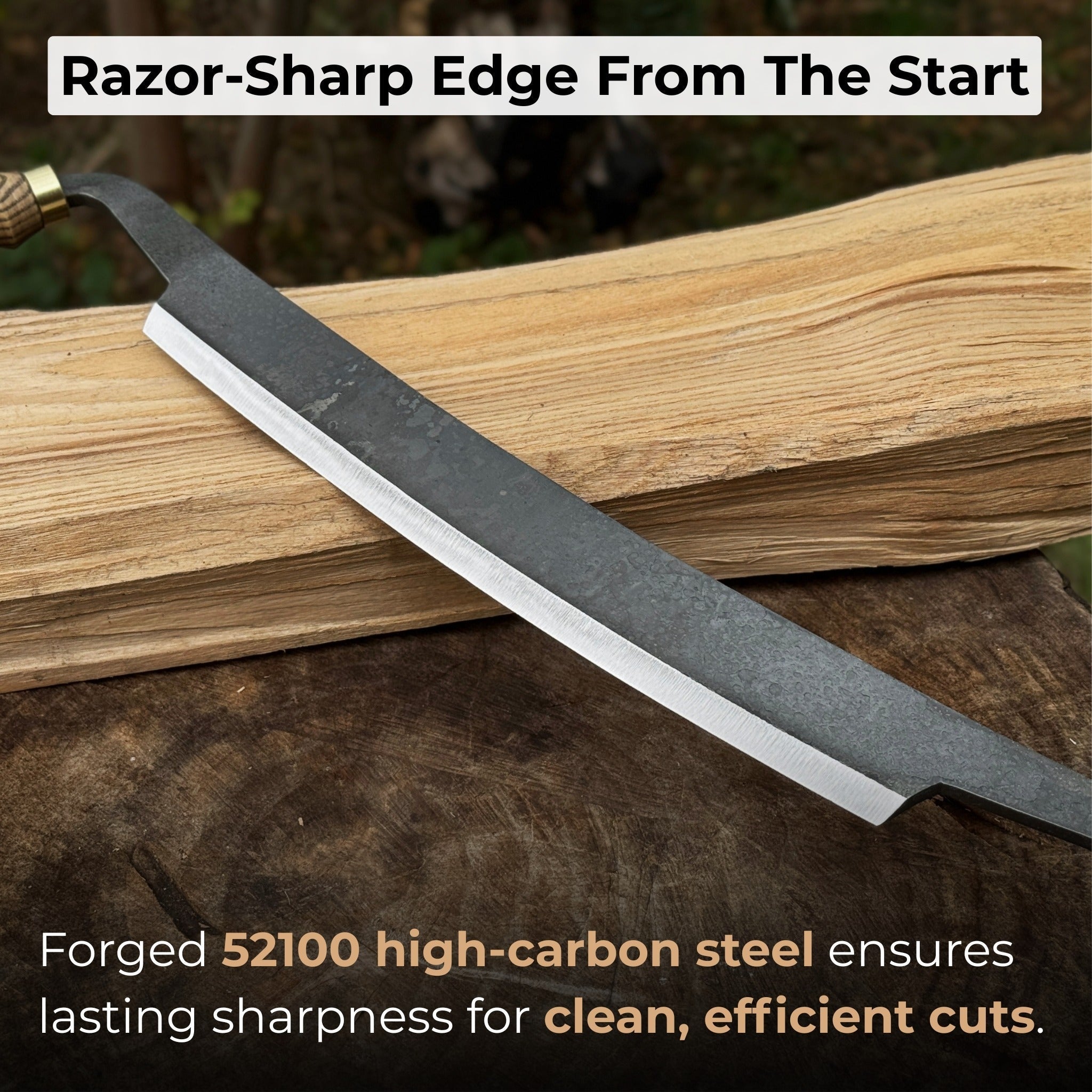 Curved Draw Knife (Push/Pull Shave), 25.5 cm (10 inch) Cutting Edge - Randy's LLC