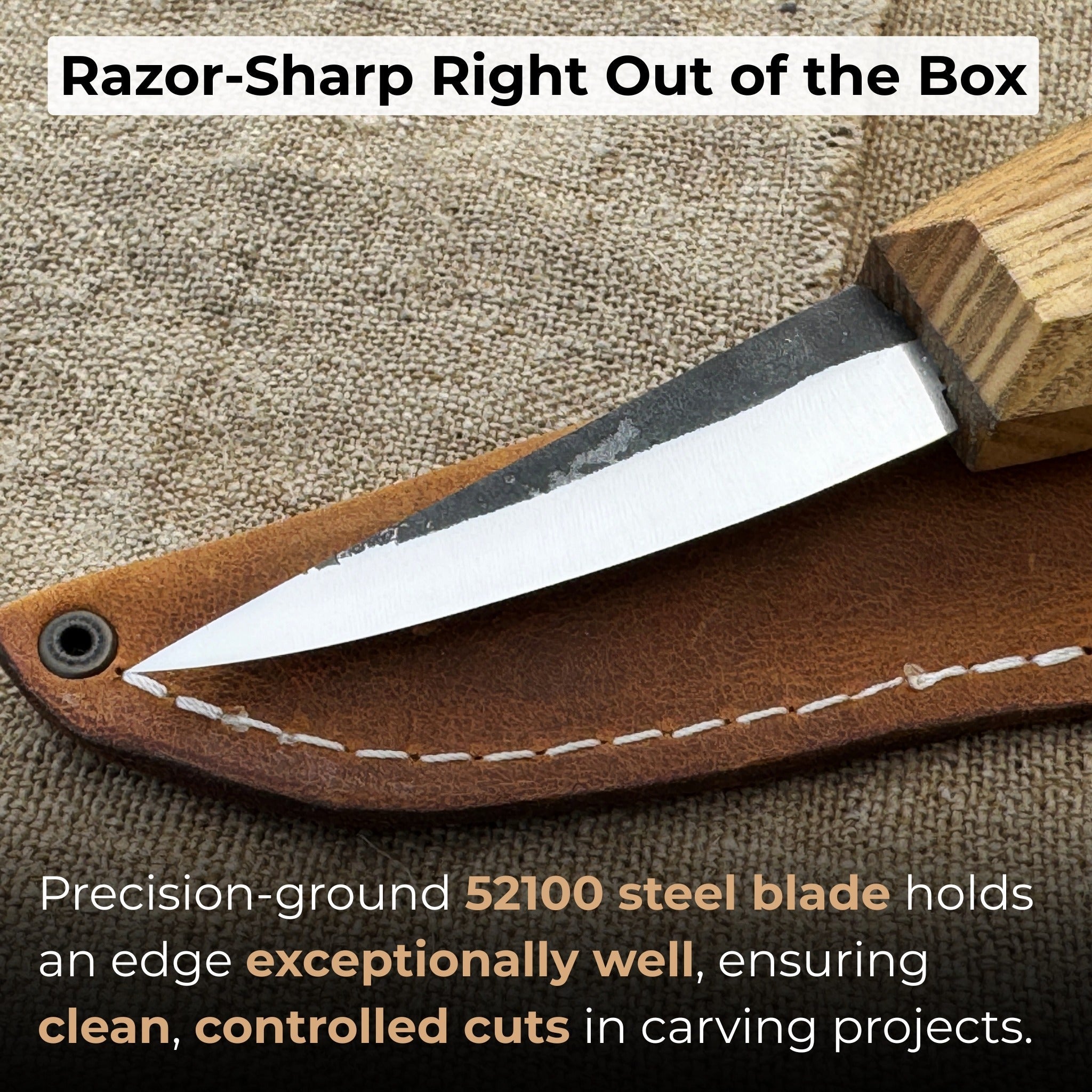 Hand-Forged Sloyd Knife, 7.5 cm (2.95 inches) - Randy's LLC