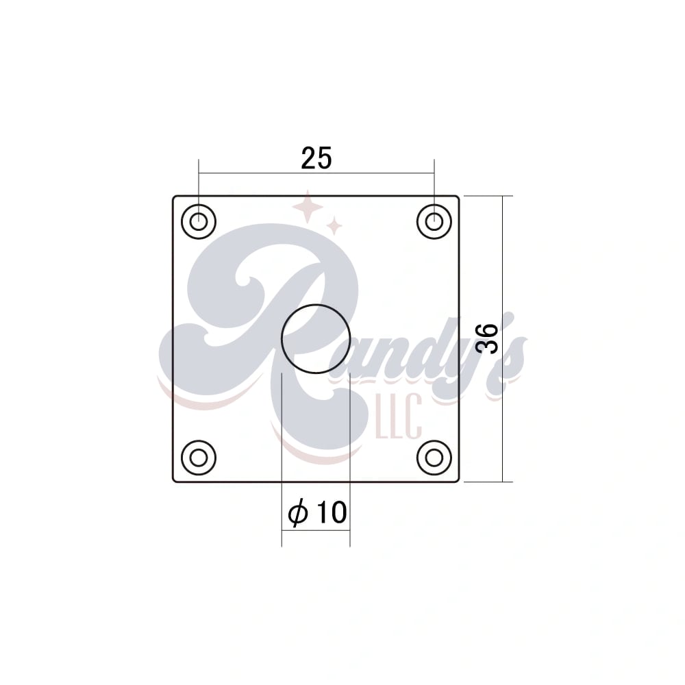 HOSCO Vintage Historic Square Jack Plate - '59 Master Relic Collection - Fits Gibson®