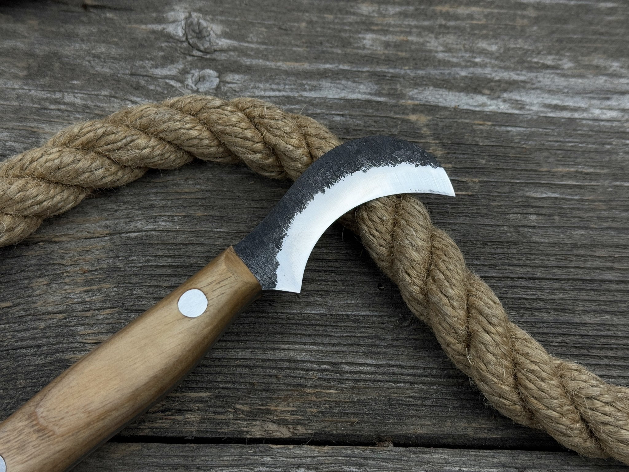 Mushroom Knife for Forest Walks, 6 cm (2.36 inches) - Randy's LLC