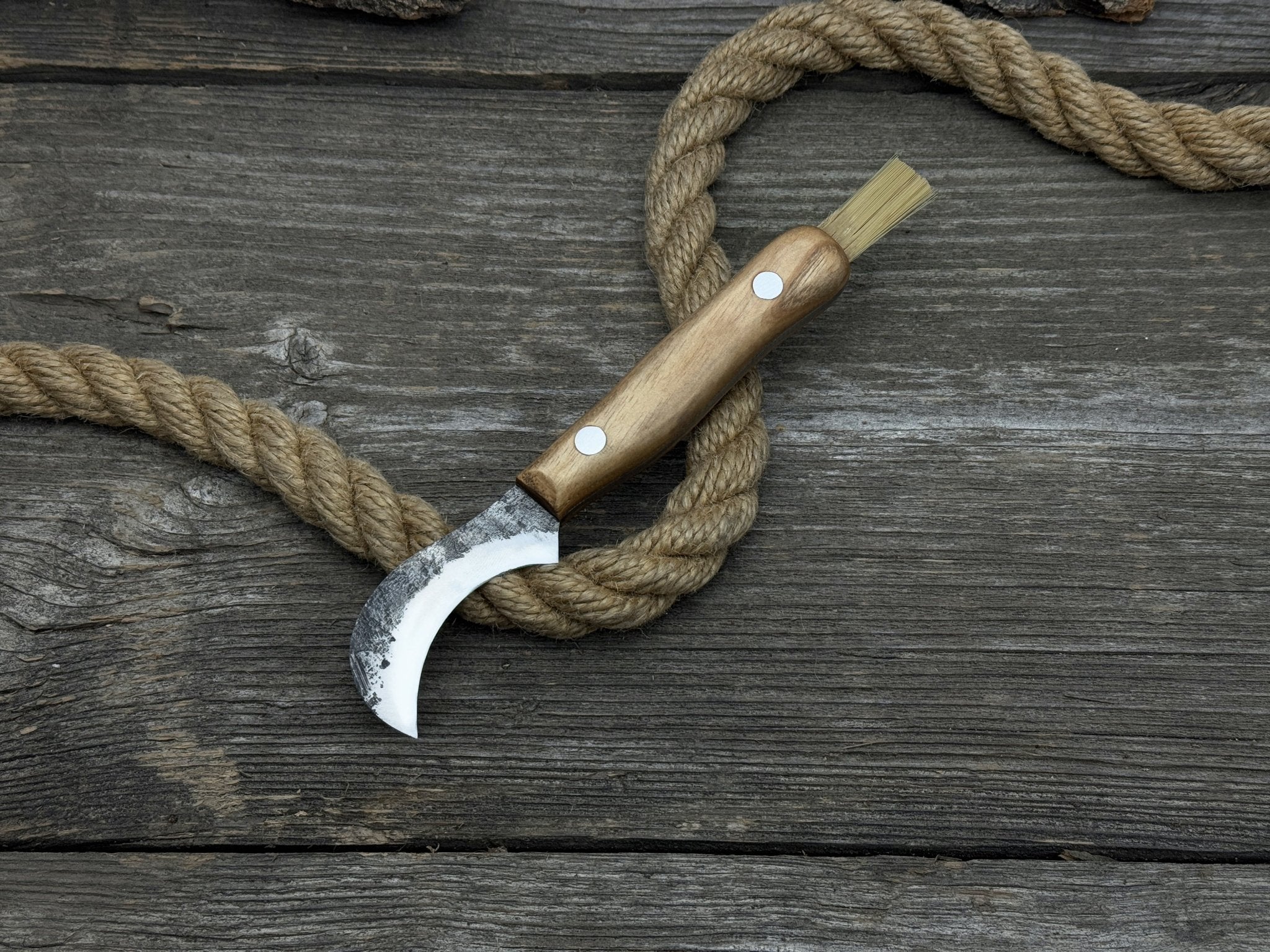 Mushroom Knife for Forest Walks, 6 cm (2.36 inches) - Randy's LLC