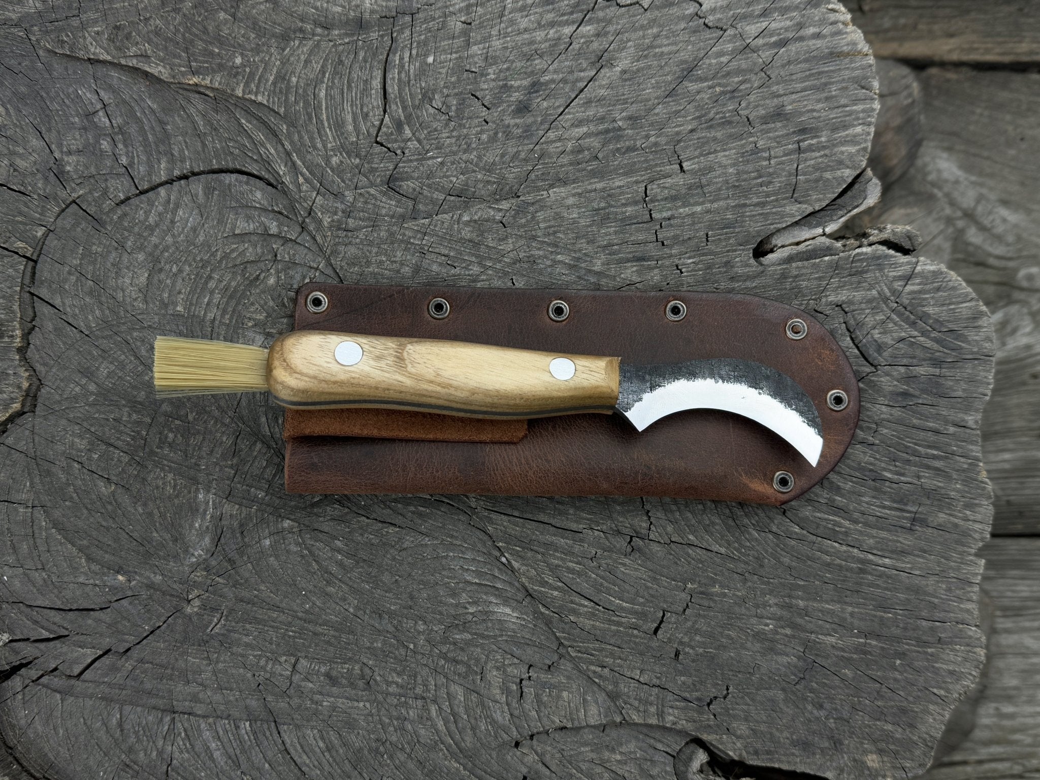 Mushroom Knife for Forest Walks, 6 cm (2.36 inches) - Randy's LLC