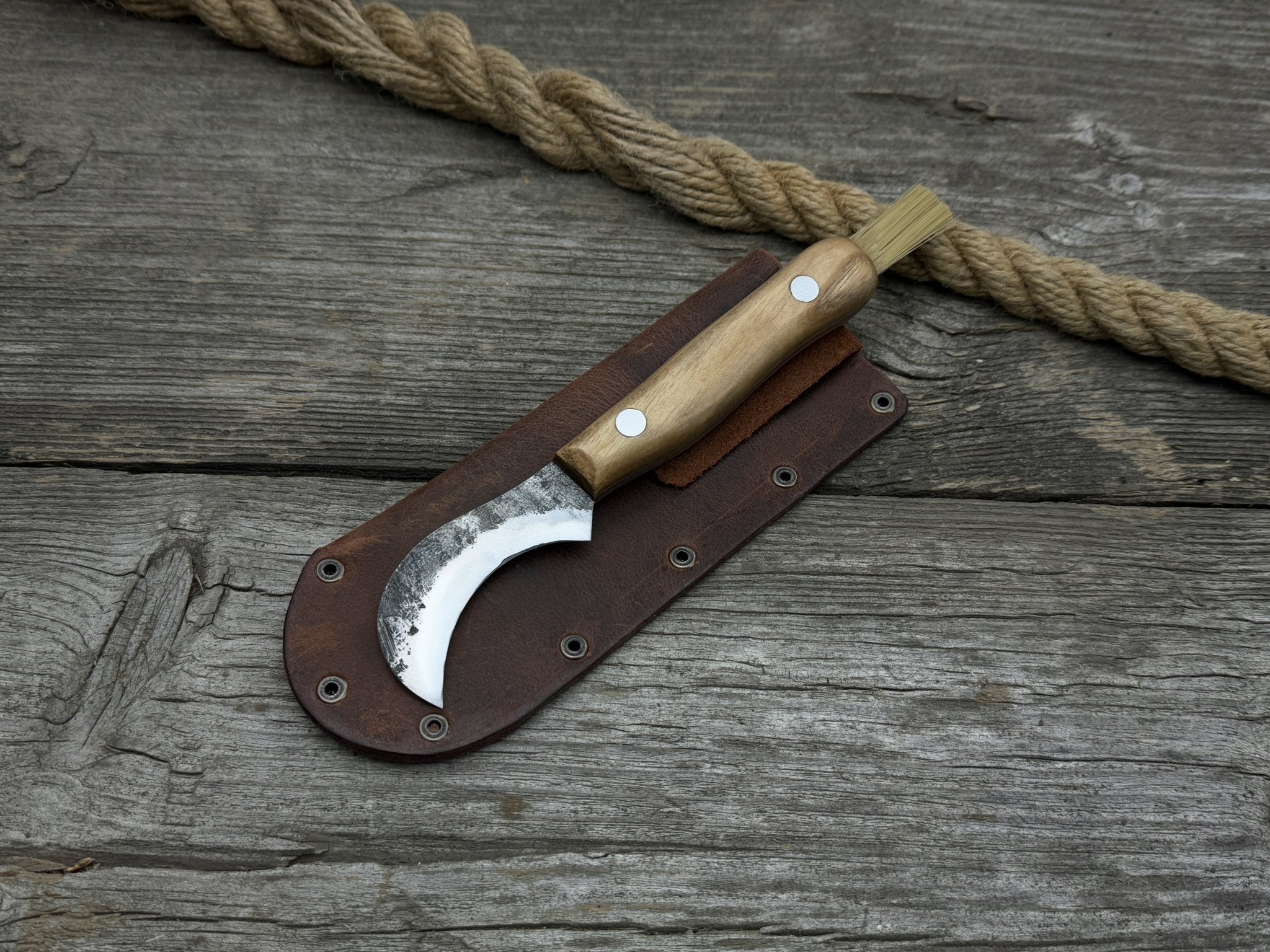 Mushroom Knife for Forest Walks, 6 cm (2.36 inches) - Randy's LLC