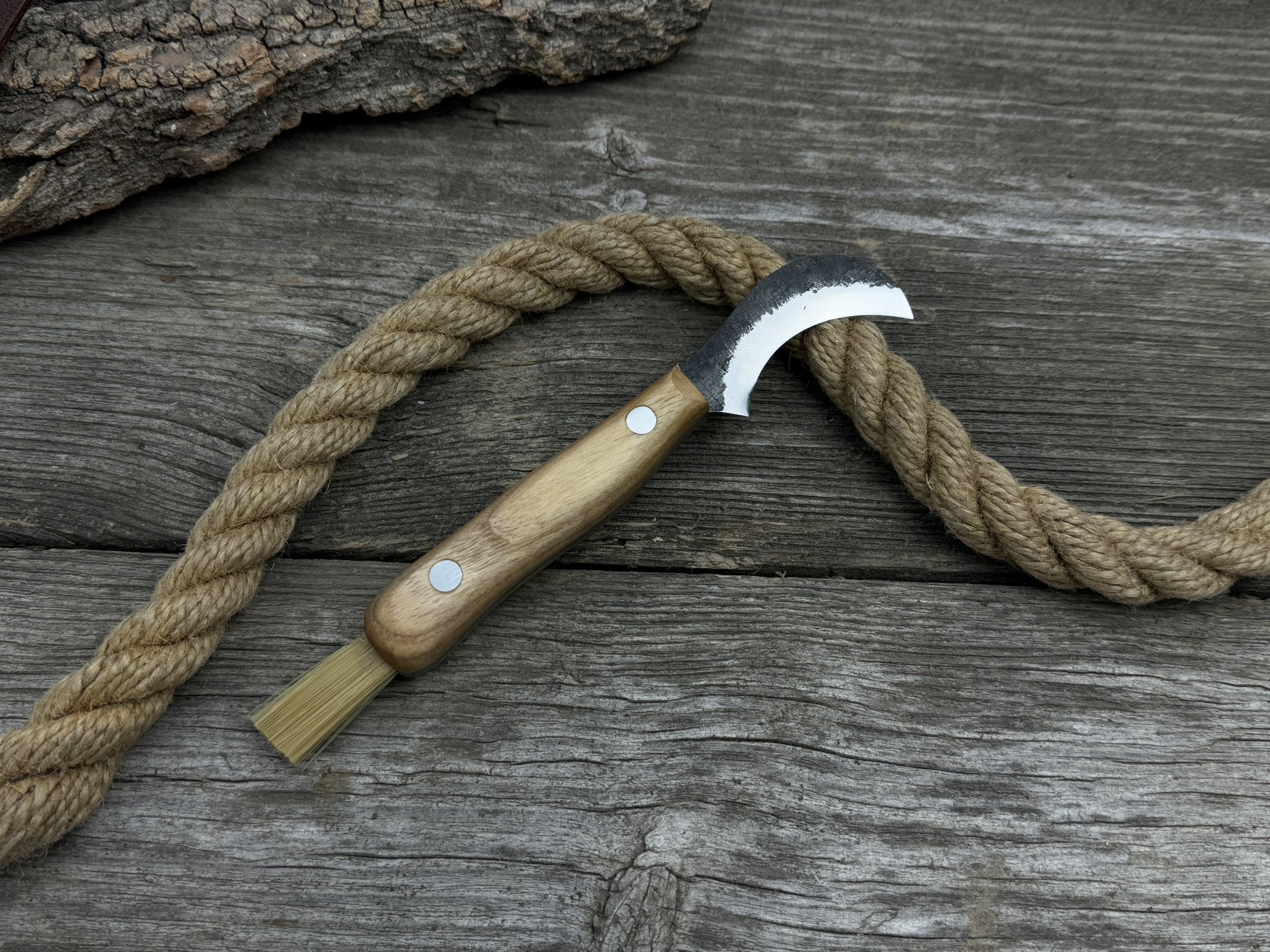 Mushroom Knife for Forest Walks, 6 cm (2.36 inches) - Randy's LLC