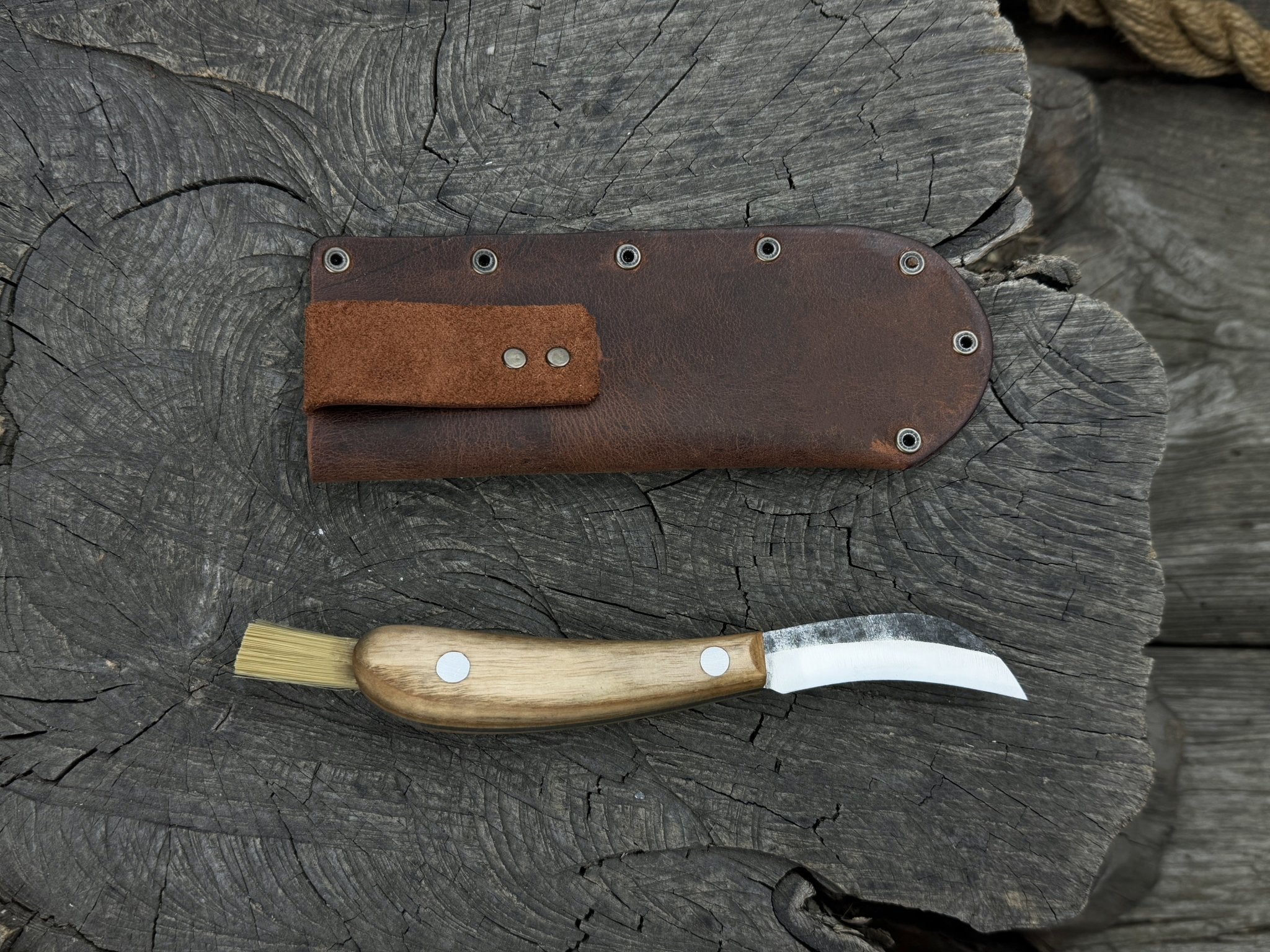 Mushroom Knife for Forest Walks, 6.5 cm (2.56 inches) - Randy's LLC