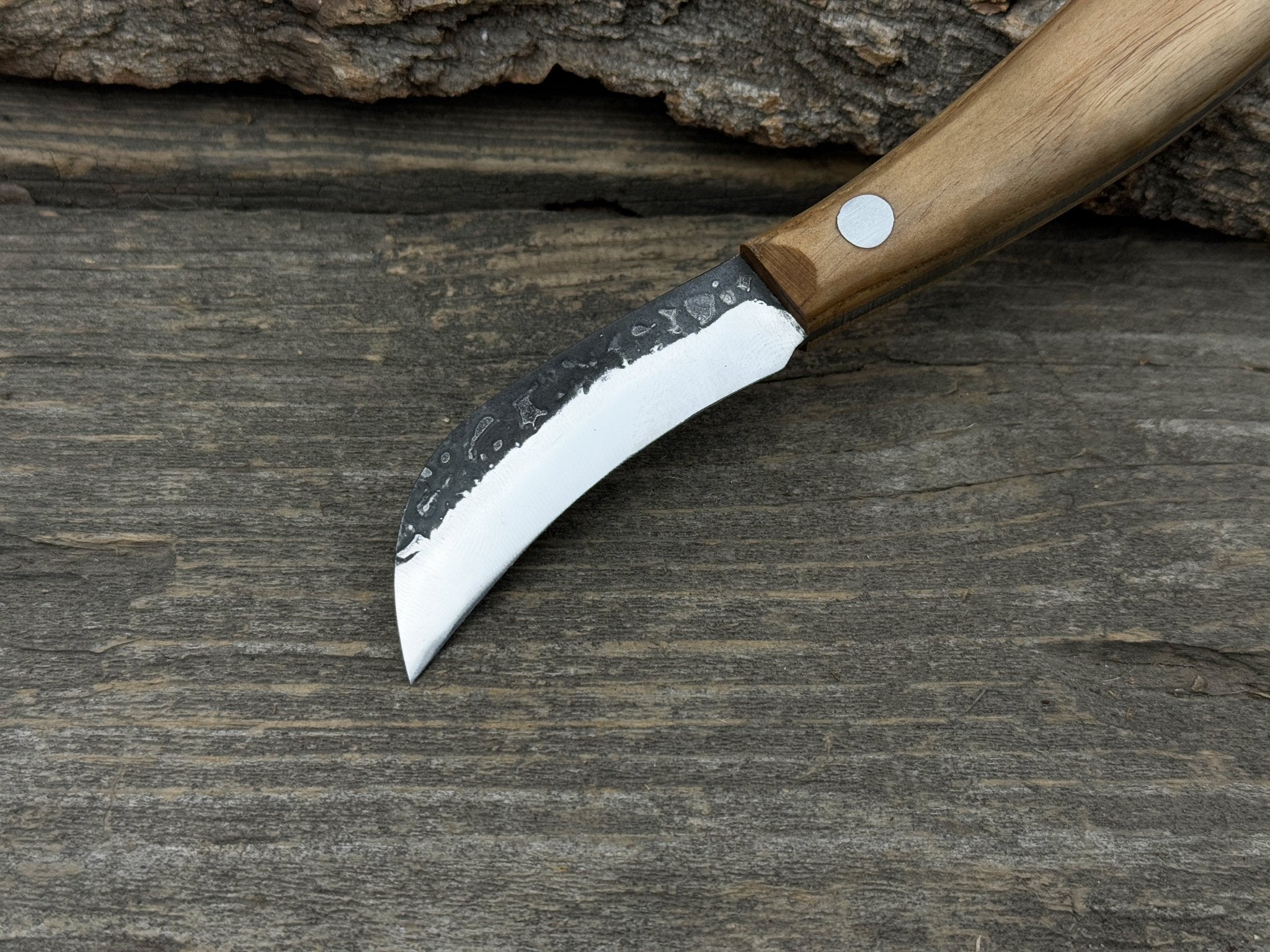 Mushroom Knife for Forest Walks, 6.5 cm (2.56 inches) - Randy's LLC