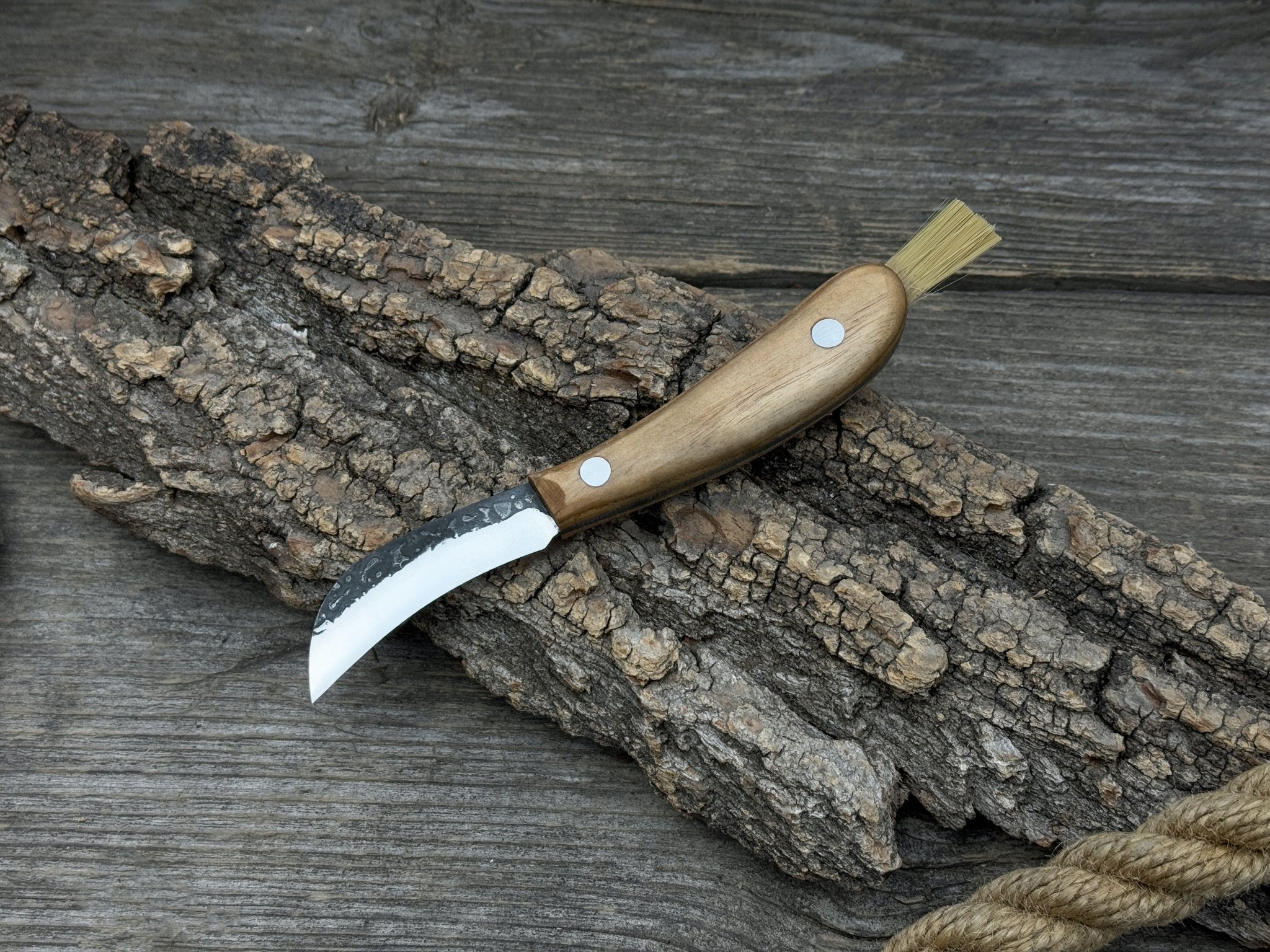 Mushroom Knife for Forest Walks, 6.5 cm (2.56 inches) - Randy's LLC