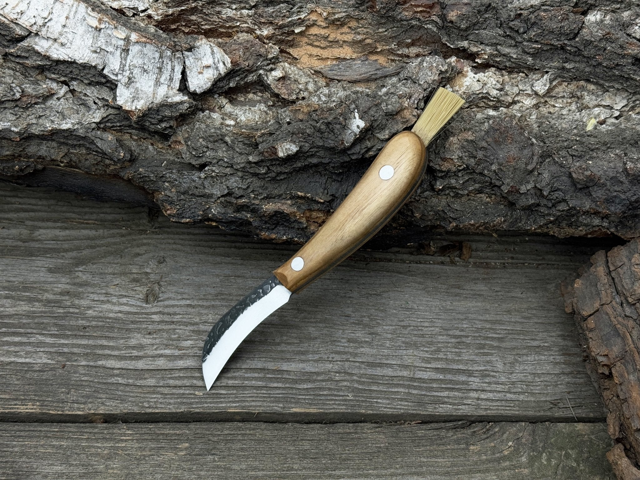 Mushroom Knife for Forest Walks, 6.5 cm (2.56 inches) - Randy's LLC