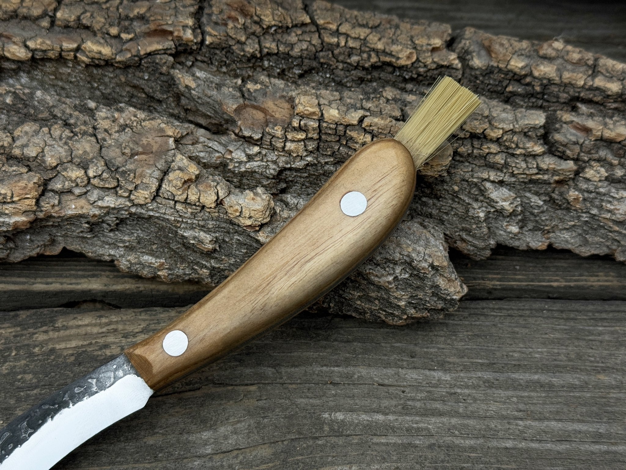 Mushroom Knife for Forest Walks, 6.5 cm (2.56 inches) - Randy's LLC