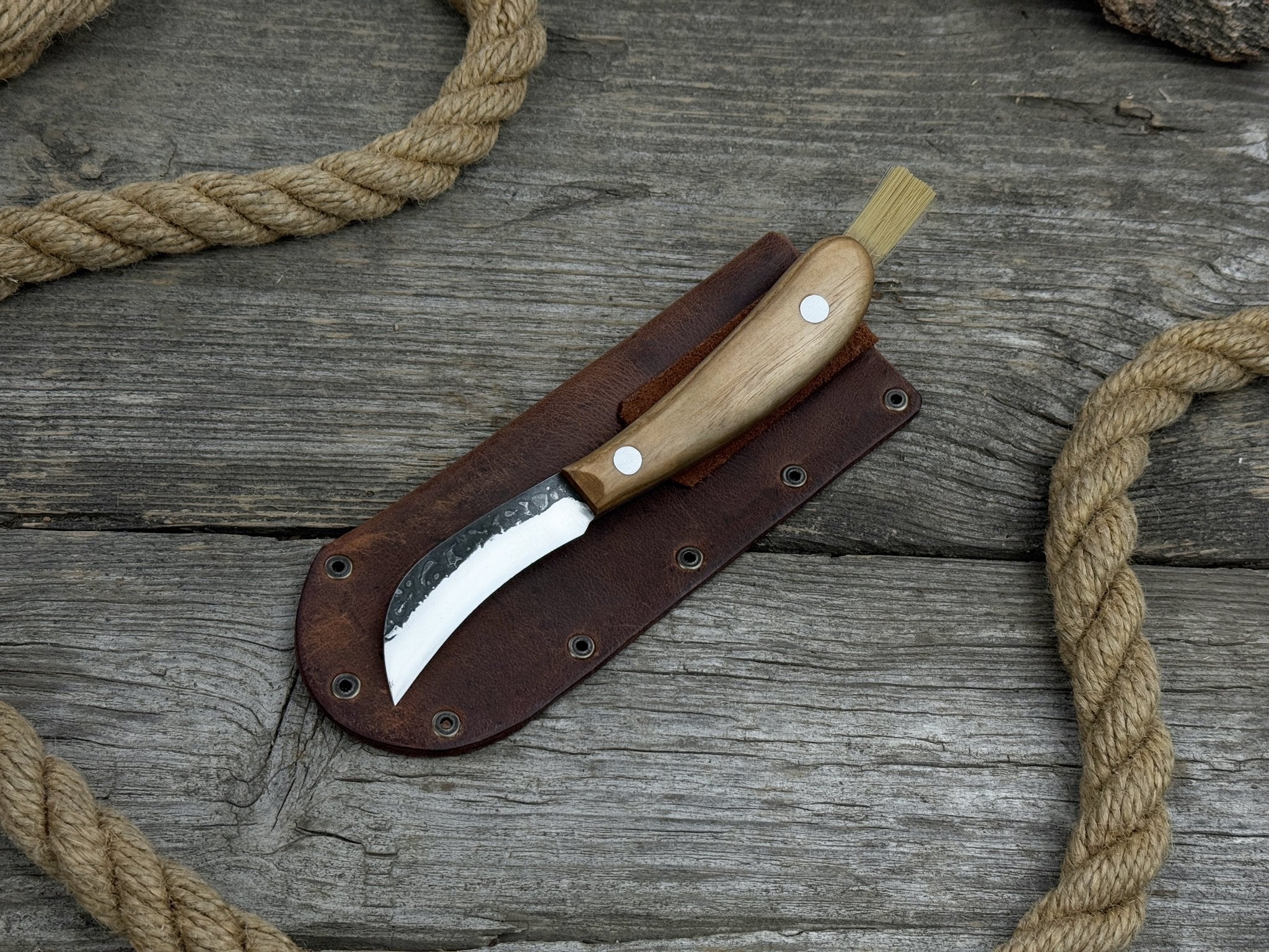 Mushroom Knife for Forest Walks, 6.5 cm (2.56 inches) - Randy's LLC