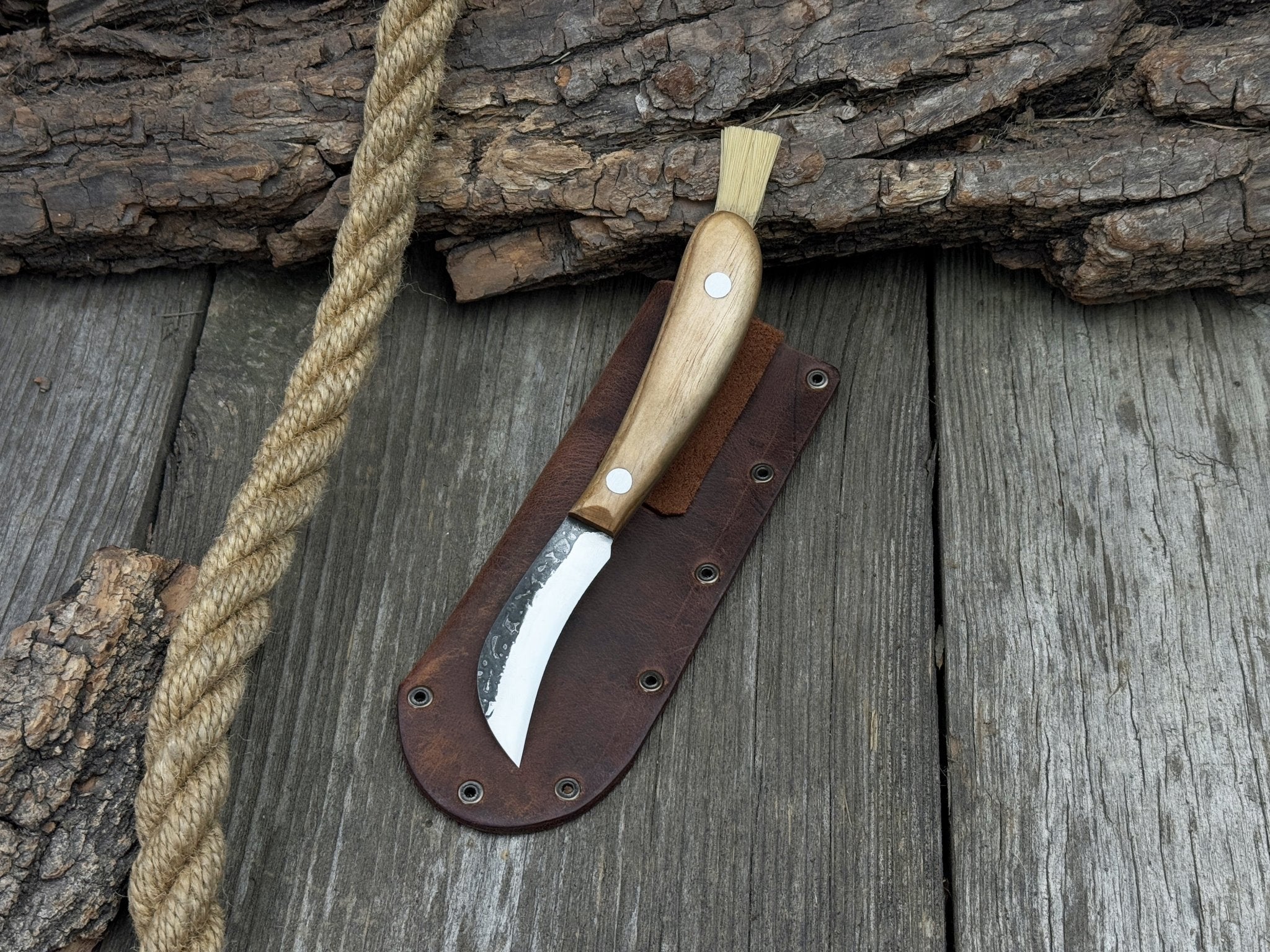 Mushroom Knife for Forest Walks, 6.5 cm (2.56 inches) - Randy's LLC