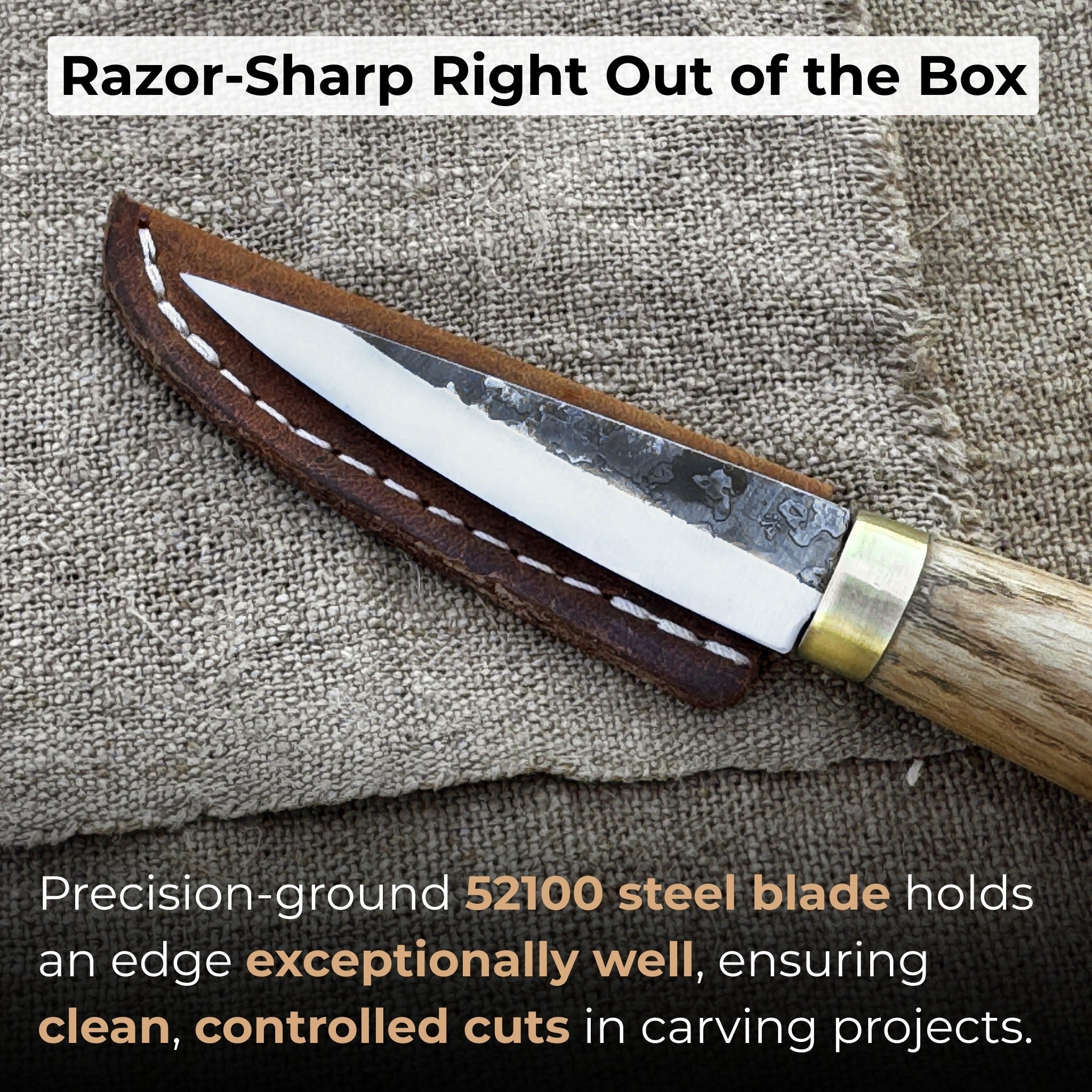 Whittling Sloyd Knife, 7.5 cm (2.95 inches) - Randy's LLC