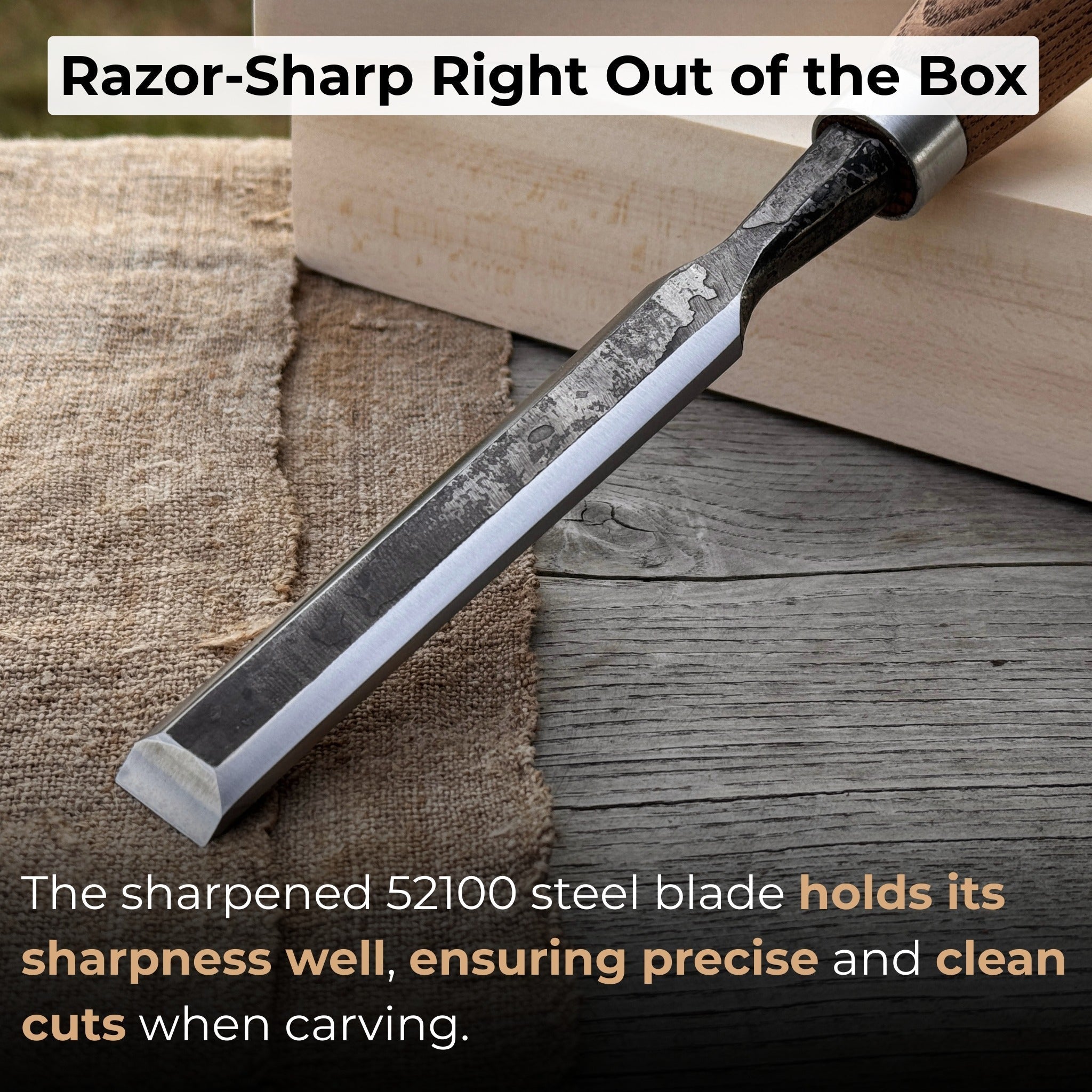 Wood Carving Chisel, 10 - 50 mm (0.39 - 1.97 inches) - Randy's LLC