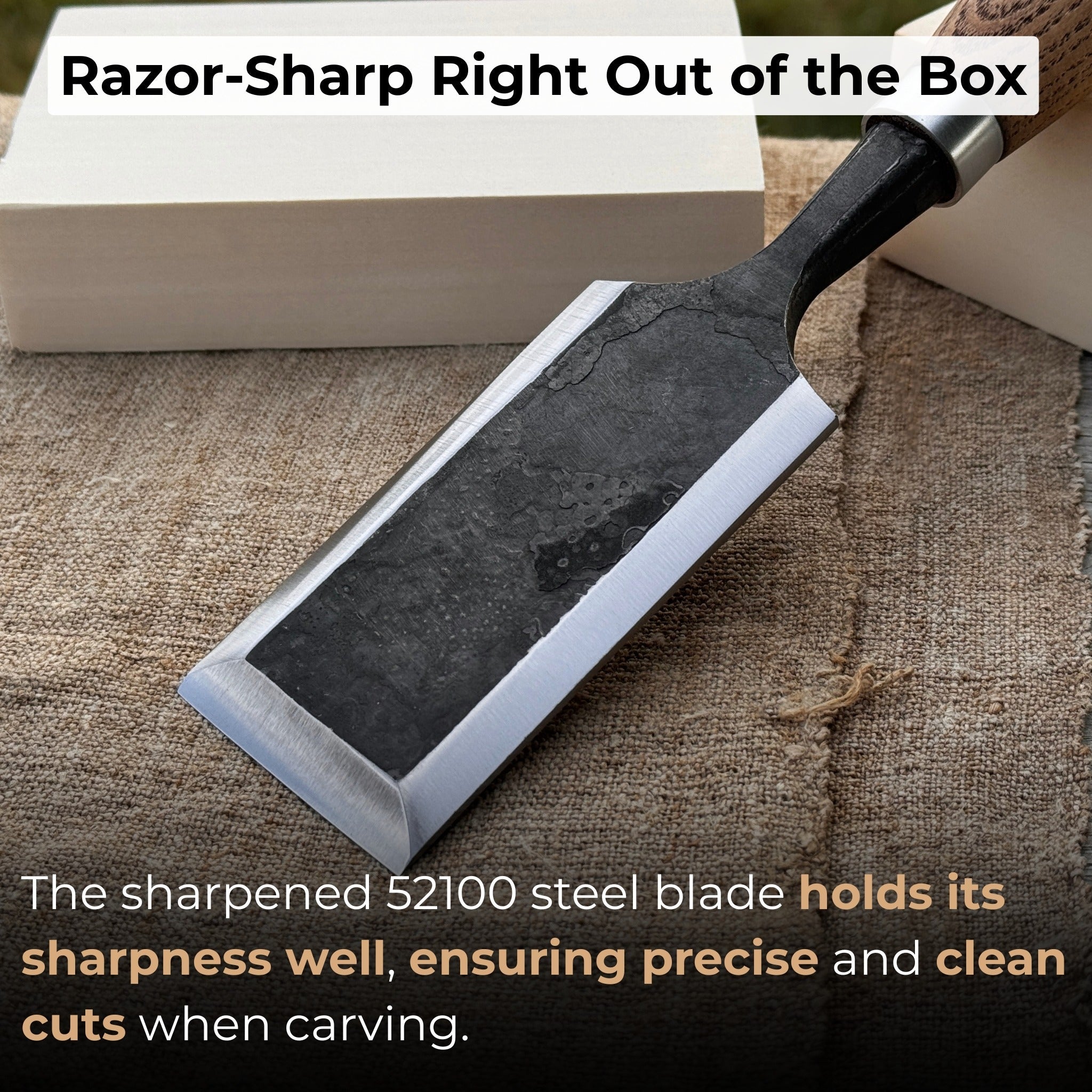 Wood Carving Chisel, 10 - 50 mm (0.39 - 1.97 inches) - Randy's LLC